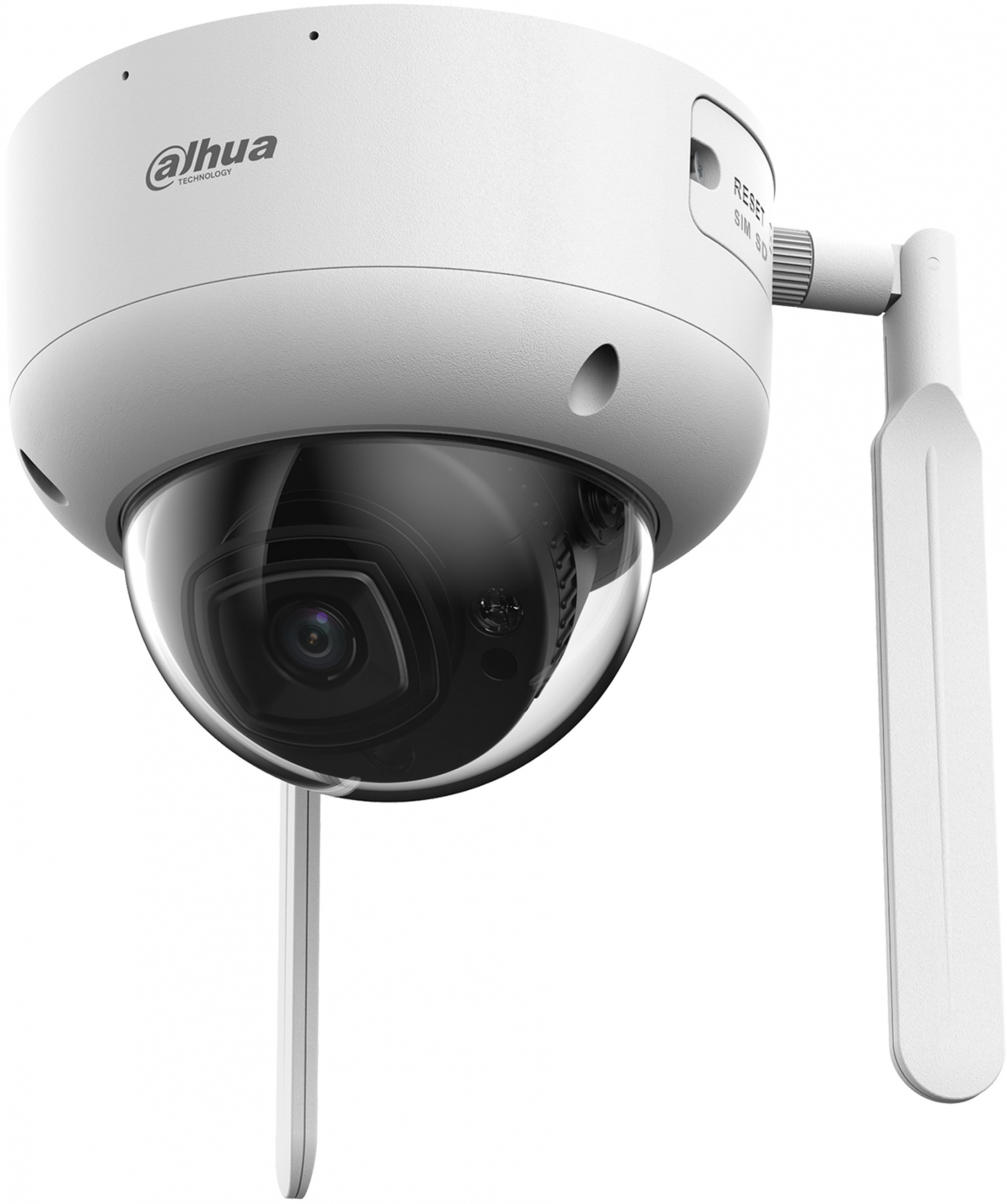 1_0_01_04_41447_398361013_crop