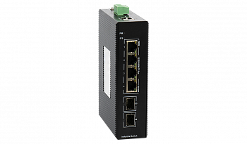 RVi-2NSIM04GP-2S Коммутатор