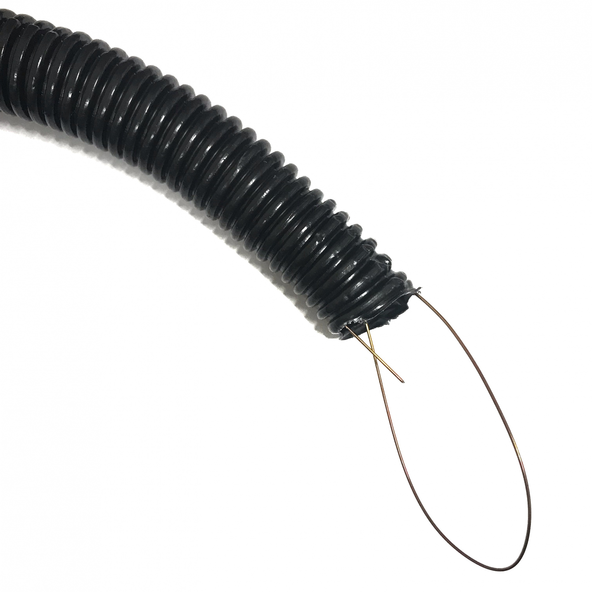 21zxwww6d4tfqziqplbbmw3x16gy1gif