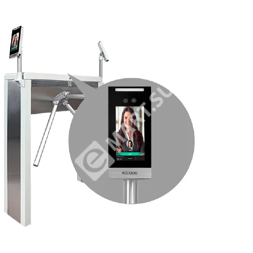 49854.970-removebg-preview