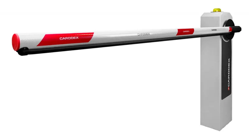 rbm-l-bazovyi2222222222222222zzzzzzx