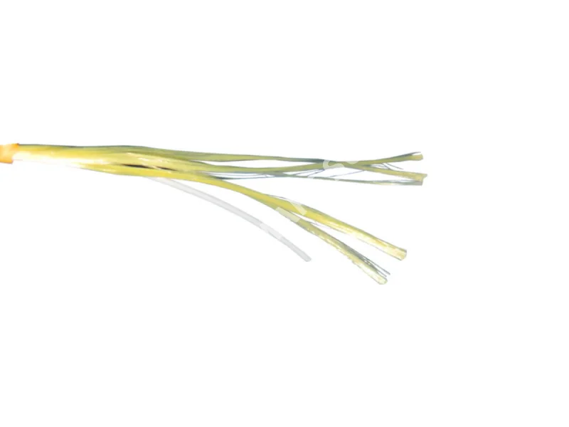 tlia0wtev6umfr4kglxoodtkyx1no5mw