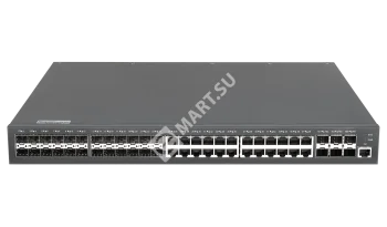 RVi-2NSM24G24S-6X Коммутатор